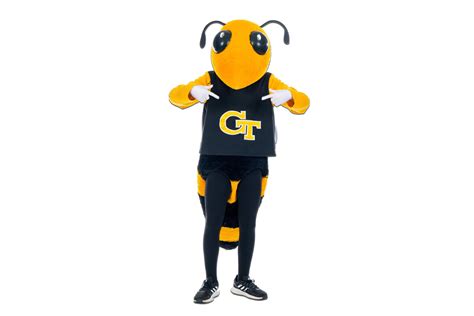 Gatech mascot